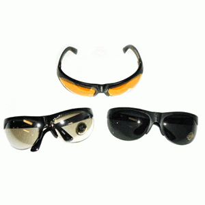 Item # 8308 - Python Style